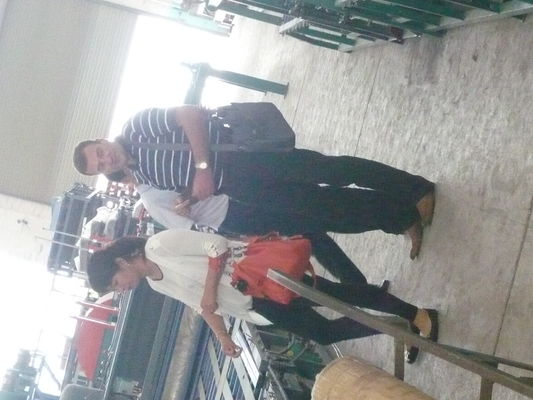 Fiber Cement Colour Glazed Profile Roof Tile Making Machine for Bulding Construction